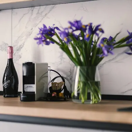 Signature Tn Executive 3 Apartament Bukareszt