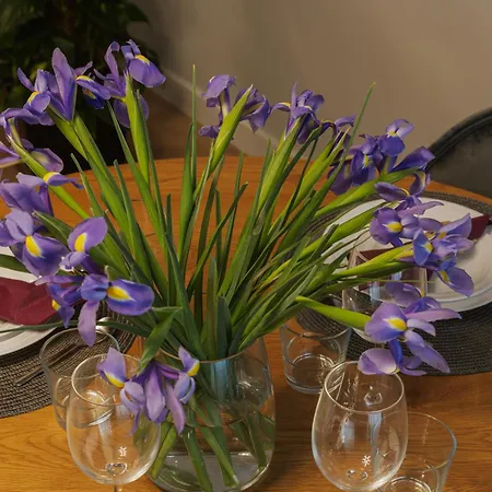 アパート Signature Tn Executive 3 ブカレスト