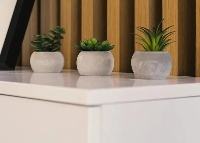 Apartamento Signature Tn Executive 3