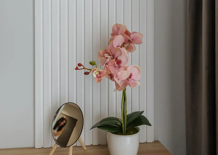 Signature Tn Executive 3 Apartamento *